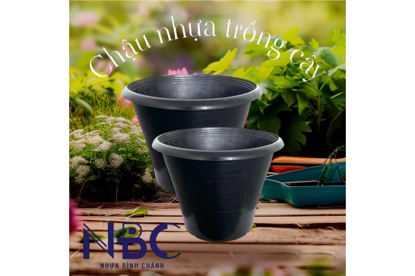 Một số gợi ý về cách chọn chậu nhựa trồng cây phù hợp với ban công